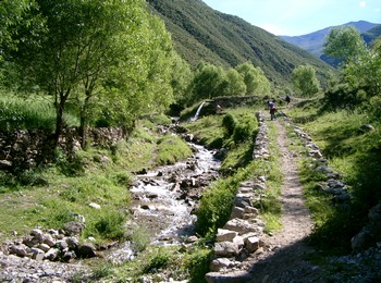 Mountain stream