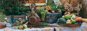 Festival of fruits