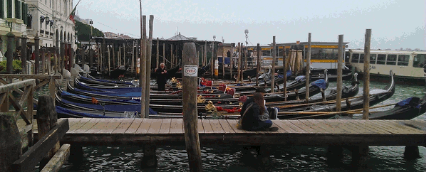 Venice aheneghana photoshelter