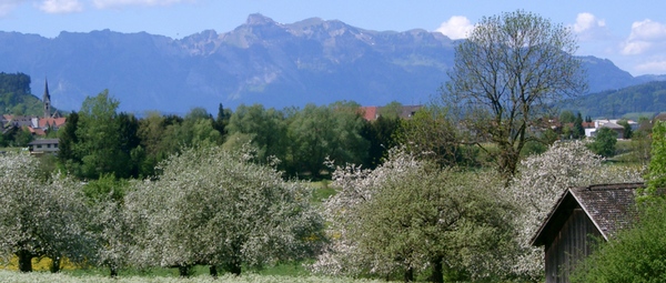 Three sisters mountain