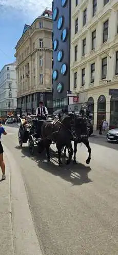 Vienna