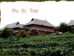 Traditional Teahouse in Xishuangbanna